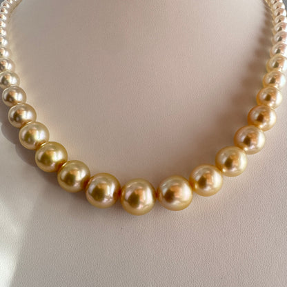 真科研 四季彩 Akoya×南洋金珠 グラデーションネックレス 5–13mm 約42cm SV 4