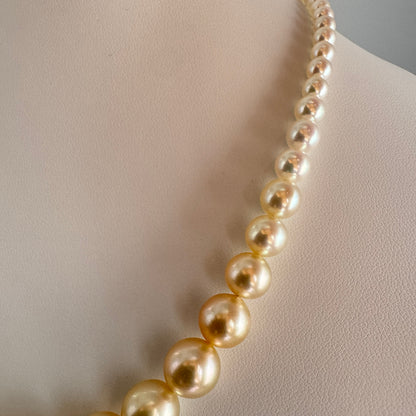真科研 四季彩 Akoya×南洋金珠 グラデーションネックレス 5–13mm 約42cm SV 5