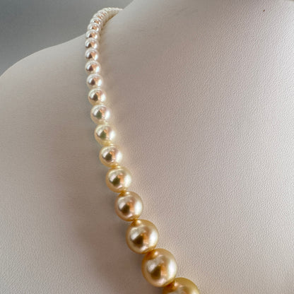 真科研 四季彩 Akoya×南洋金珠 グラデーションネックレス 5–13mm 約42cm SV 6