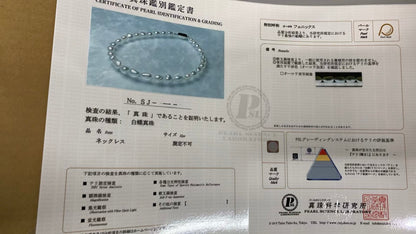 南洋白蝶真珠 オーロラ フェニックス バロックネックレス 約42cm SV 真珠科学研究所SJ鑑別書付 8